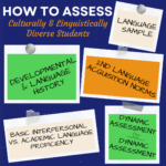 infographic of dynamic assessment components